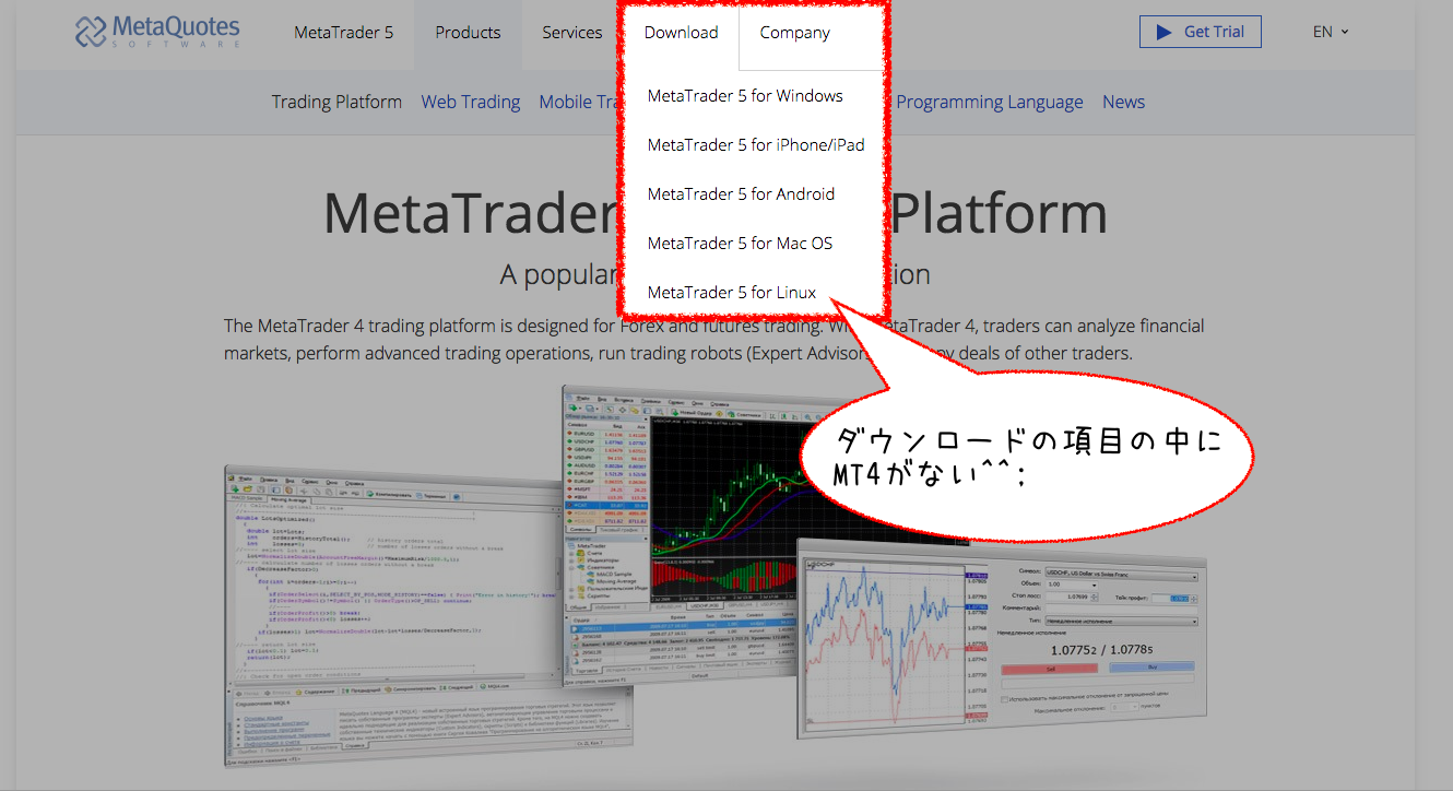 MetaQuotesSoftware社の公式サイトのダウンロード項目の画像